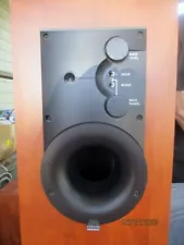 ATHENA TECHNOLOGIES P1 POWERED SUBWOOFERS