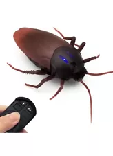 RC Cockroach Remote Control Car Vehicle Animal Toys Electronic Realistic Inset