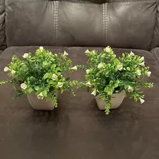 Mini Potted Artificial Plants Plastic Fake Green Plant for Home Set of 2 White