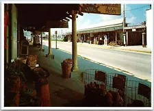 VINTAGE CONTINENTAL SIZE POSTCARD SPONGES FOR SALE IN TARPON SPRINGS FLORIDA