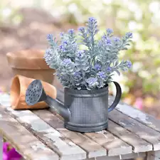 Primitive Farmhouse Mini Watering Can Metal Planter