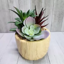 Mainstays Artificial Succulents Plants in Pot 5'' Tall Home Decorative