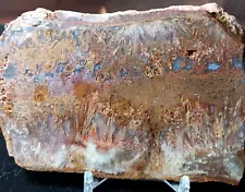 Sagenite Agate Slab -Nice Colors!!! - Great Cabbing Material