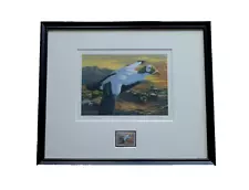 1992 RW59 Framed Federal Duck Stamp Print Signed Joe Hautman Spectacled Eider