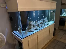 Aquarium - Saltwater Ready, Also Good For Fresh water