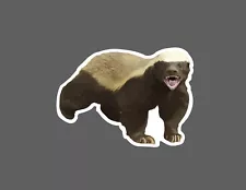 Honey Badger Sticker Wild Waterproof NEW - Buy Any 4 For $1.75 EACH Storewide!