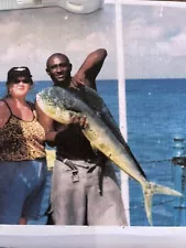 mahi mahi cow fish (girl) fiberglass mount caught 15 off coast of jamaica