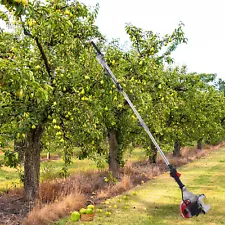 43CC 2 Stroke Handheld Gasoline Power Fruit Picker Olive Walnut Vibrating Picker