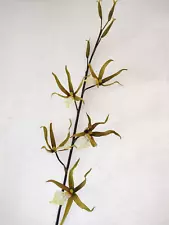 Artificial Oncidium Papilio SP. Spider orchid stem. Silk orchids. Green