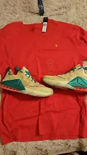 Nike Lebron xii low size 14 Lebronald Palmer