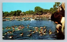 Tarpon Springs,FL Boy Retrieving Cross from Spring Bayou, Action Scene Florida