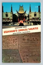 Greetings Grauman's Chinese Theatre Los Angeles,CA Banner Dual View California