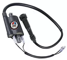 IGNITION COIL FOR BOMBARDIER RALLY 200 YEAR (2003-2007) (For: 2003 Bombardier Rally 200)