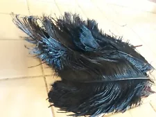 Vintage Ostrich Plumes for hats, crafts and a Feathered Fan