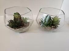 Succulent Décor