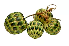 Antique Custard Apple Wooden Fruits Sugar-Apple Painted Realistic Ornaments Rare