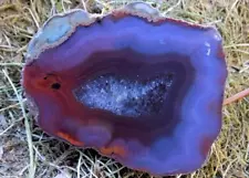 JVC - Nice Condor Agate Polished nodule