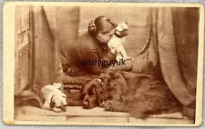 CDV FLAT COATED RETRIEVER SLEEPING PUG DOG LADY CHELMSFORD ANTIQUE PHOTO