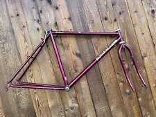 1989 Fat Chance Wicked Vintage Mountain Bike Frame