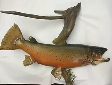 25” Brown Trout Mounted On A Beautiful Drift Wood.