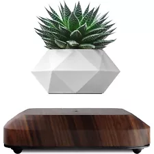 LEVINA Floating Plant Pot - Authentic Levitating Plant Pot for Air Plants