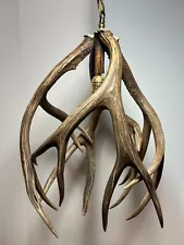 Real 4 Deer Antler Large Pendant Light - 20" tall x 14" wide