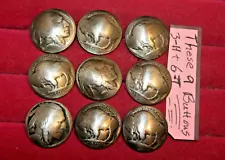 9 Real USA Buffalo Indian Head Nickel Domed Shank Coin Buttons 3/4" FREE SHIP!!