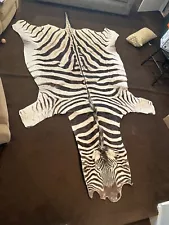 Antique Full Zebra Hide Rug From Africa 1950s Bought At An Estate Sale Years Ago