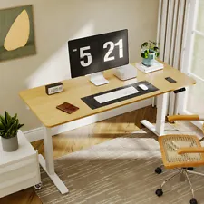 FlexiSpot 55" Electric Standing Desk Height Adjustable Whole-Piece Computer Desk