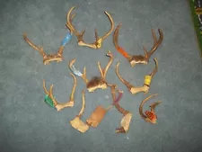 9 Michigan Whitetail DeerAntler Sets w/1980's Kill Tags - Cabin Decor - Lot D