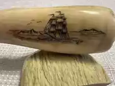 Fossilized ivory with scrimshaw