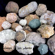 5Lbs Whole GEODES AGATES NODULES Lapidary Uncut Semi to Solid Unopened Quartz KY