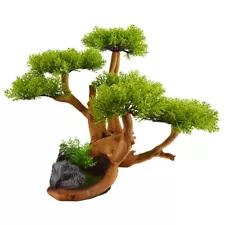 Designer Bonsai Tree