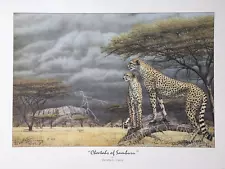 1994 Cheeta of Samburu Print by Dennis L. Curry, Signed, Near Mint.