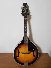 Mandolin Acoustic 8 String Guitar Works Model SO-GWM-100 With Carrying Case EUC