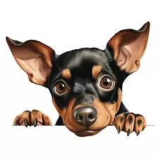 Manchester Terrier Car Sticker Dog Sticker