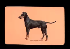 VINTAGE WOOLWORTHS SWAP BLANK BACK CARD MANCHESTER TERRIER DOG ORANGE