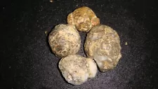 4 SMALL WHOLE MIXED GEODES 1 1/2 + POUNDS