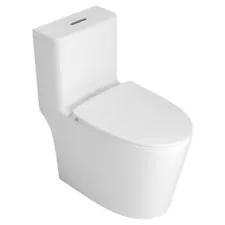 One-Piece Toilet w/ Accessories, Sleek Design, Dual Flush, Compact & Easy Clean