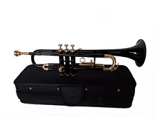 SMART DEAL !! Brand New Black Brass Bb FLAT Trumpet Free Case+M/P FAST SHIP