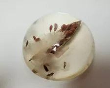 Vintage Milkweed Pod and Seeds/Silks in Domed Lucite 3.75" Diameter