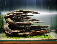 Aquarium Driftwood Bonsai Aquascape Drift Wood Reptile Fish Terrarium Home Decor