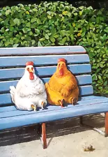 Postcard Art Birds Chicken Hen Bench Gossip Chicks Shoes Rudi Hurzlmeier