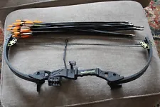 Barnett TOMCAT Compound Bow Black Archery Beginner 20-22" Draw with bear Arrows