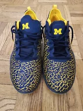 ð¥Nike Jordan Trainer 1 Low Michigan Size 12ð¥ RARE WORN ONCE / Great Condition