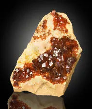 6.8" Vivid Blood Red VANADANITE Brilliant Shiny Crystals to .5" Morocco for sale