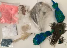 Bag Lot of Feathers for Crafts Peacock Tail Feathers Arts Some Dyed DIY +++