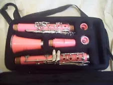 “Glory” Pink Clarinet In Carry Case