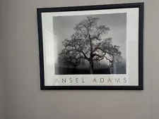 Ansel Adams Authorized Edition - Oak Tree, Sunset City Framed