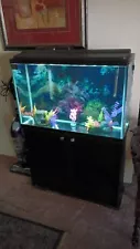 55 Gallon Fish Tank